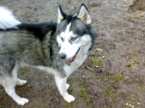 Damon2