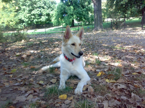 Lucy
