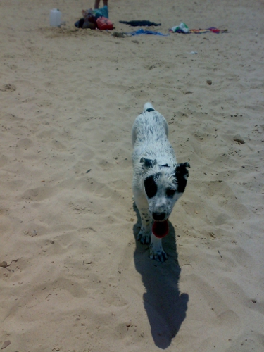 Rocky5